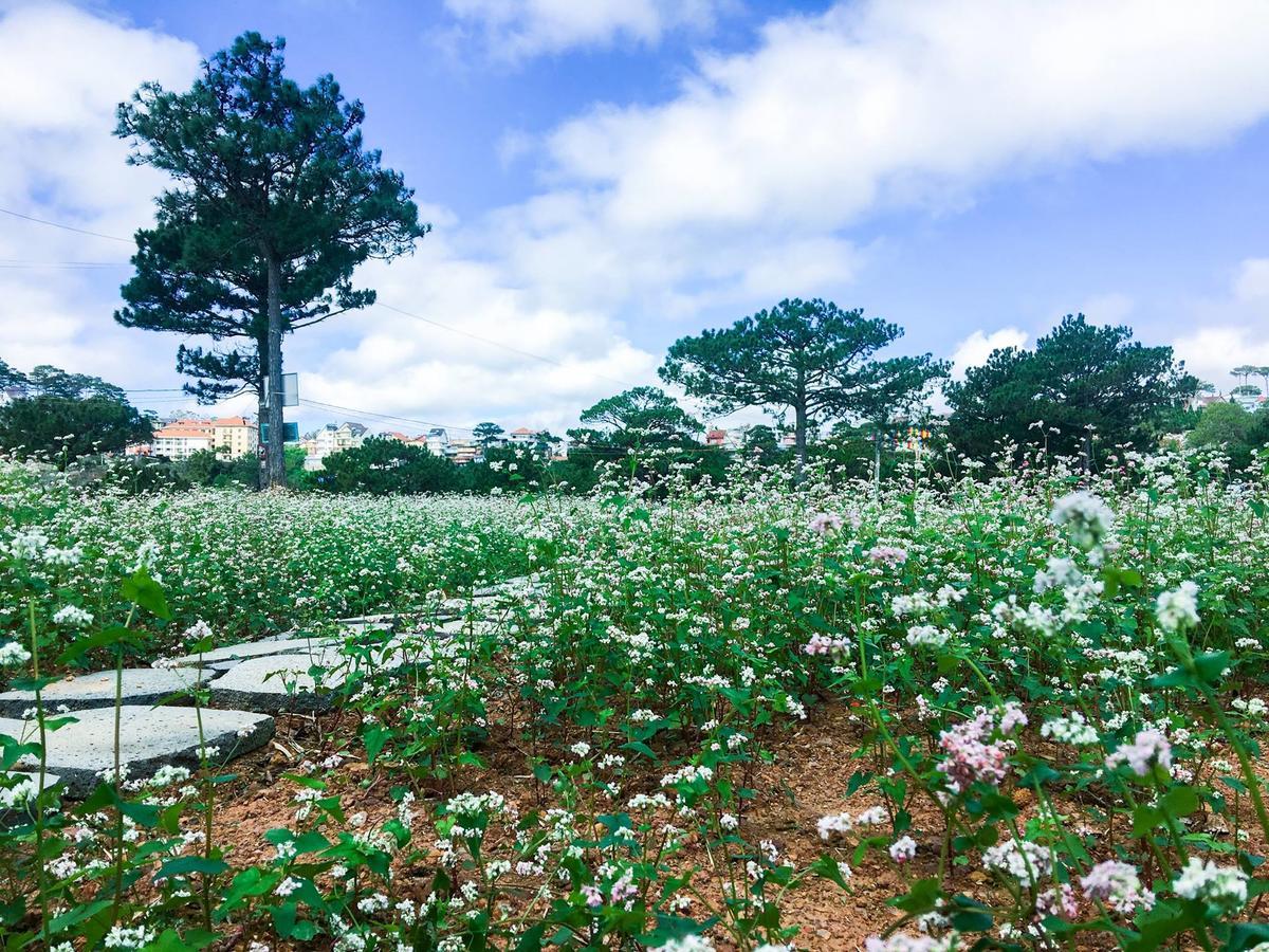 The Kupid Hill Homestay Dalat Exterior foto